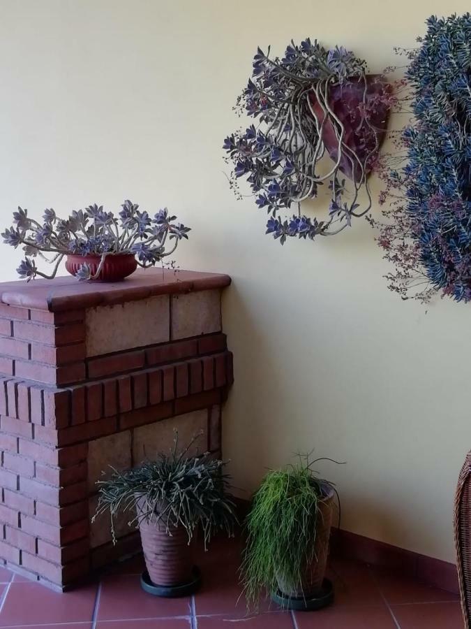 Bed and Breakfast Il Melograno Calitri Zewnętrze zdjęcie
